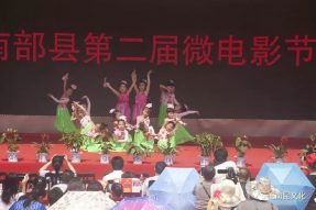 “親水南部 微影幸?！薄八拇ㄞr(nóng)信杯”南部縣第二屆微電影節(jié)開幕啦！