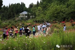 南部縣首屆微電影節(jié)開幕式精彩視頻，怎容錯(cuò)過！