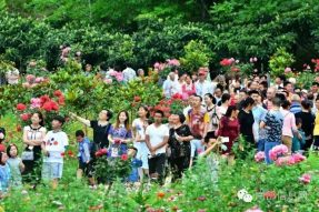 沸騰的小山村——伏虎寺外桃源，令人震撼的美！